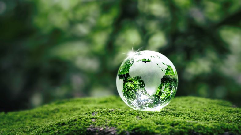 Energy and Sustainability (Robert Kennedy College) cover image