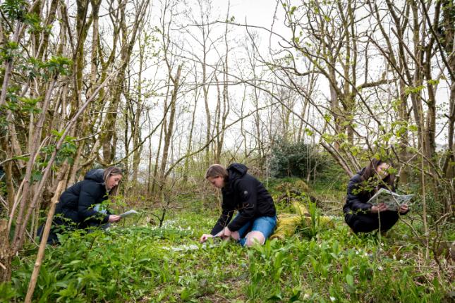 MSc Conservation Management