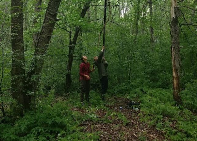 MSc Forest Science