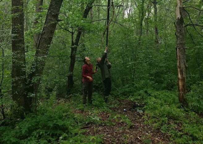 Forest Science cover image