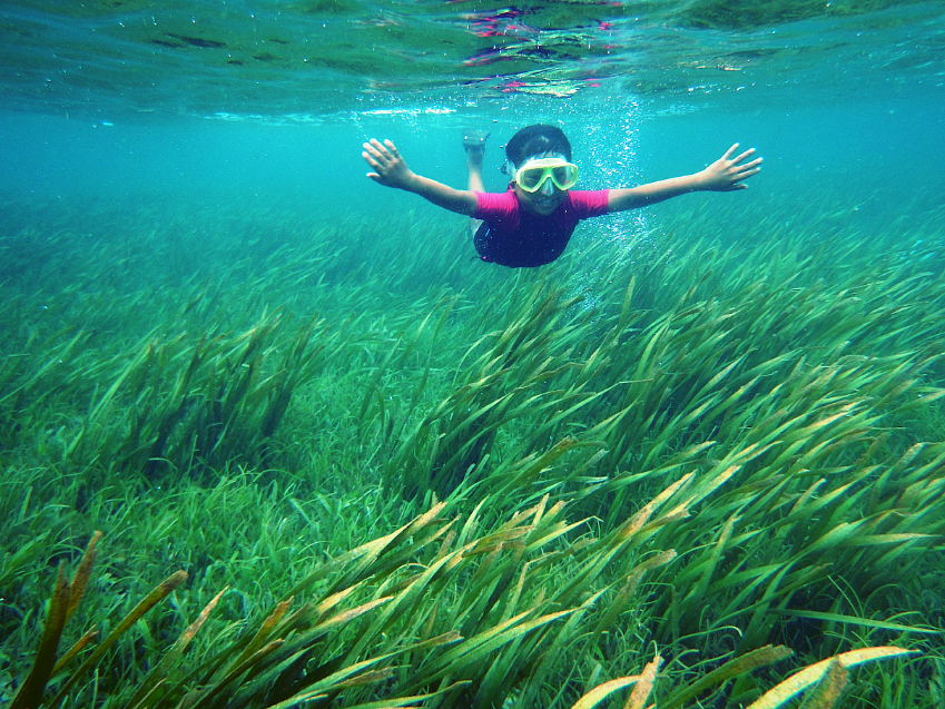 Marine and Coastal Ecology cover image