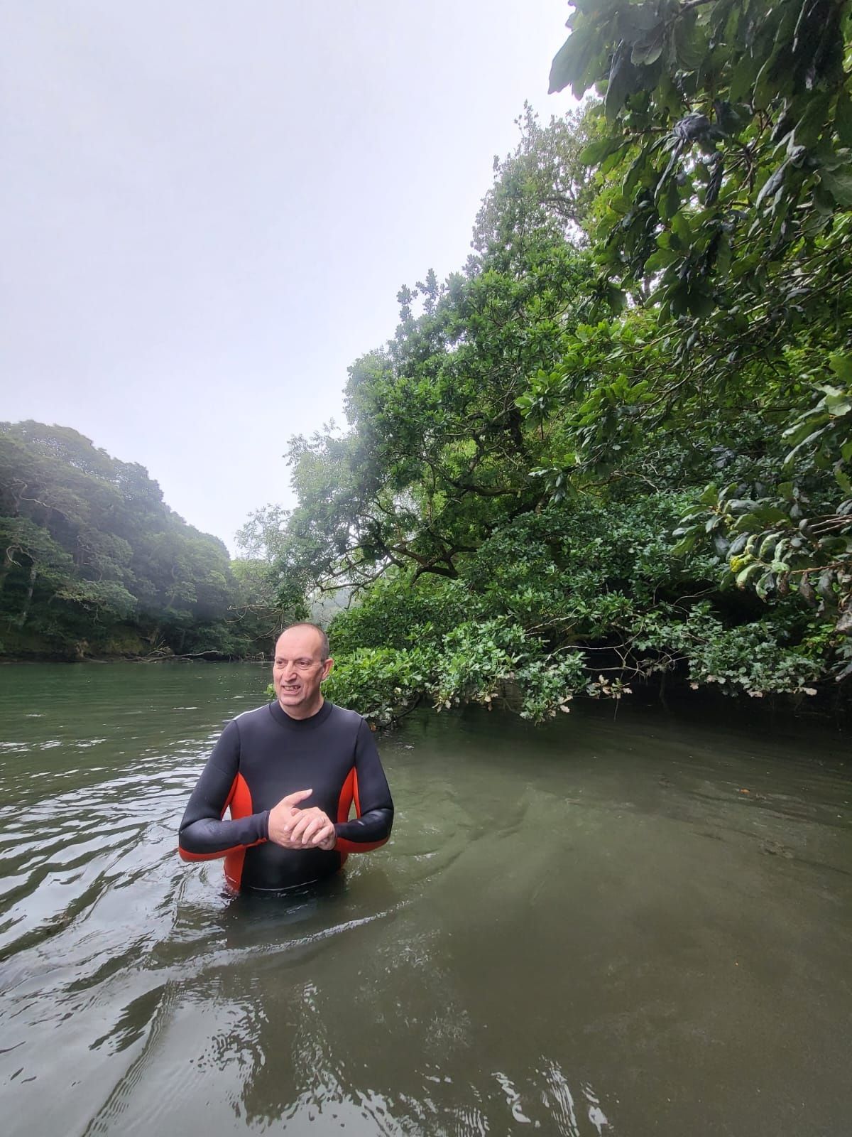 intertidal oaks intertidal oaks