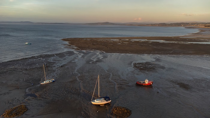 Marine and Coastal Ecology cover image