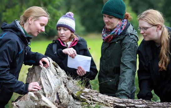 BSc (Hons) Forest Management