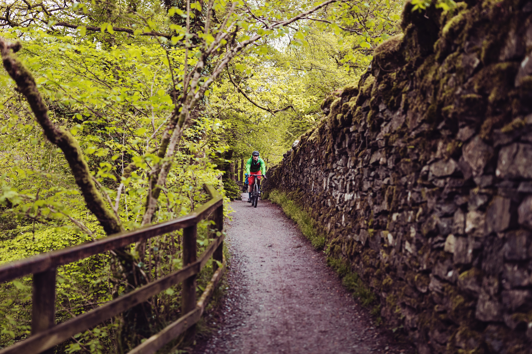 A student cycling in a forest. A student cycling in a forest.