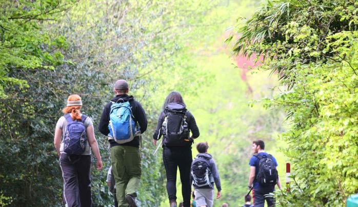 A group of students walking through woodland 