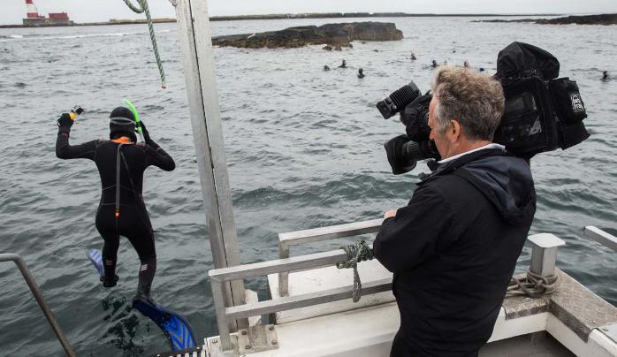 Students filming scuba diving. Students filming scuba diving.