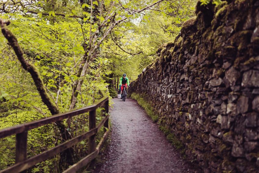 Woodland Ecology and Conservation