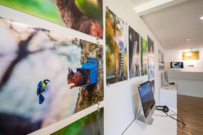 BA (Hons) - Wildlife Media