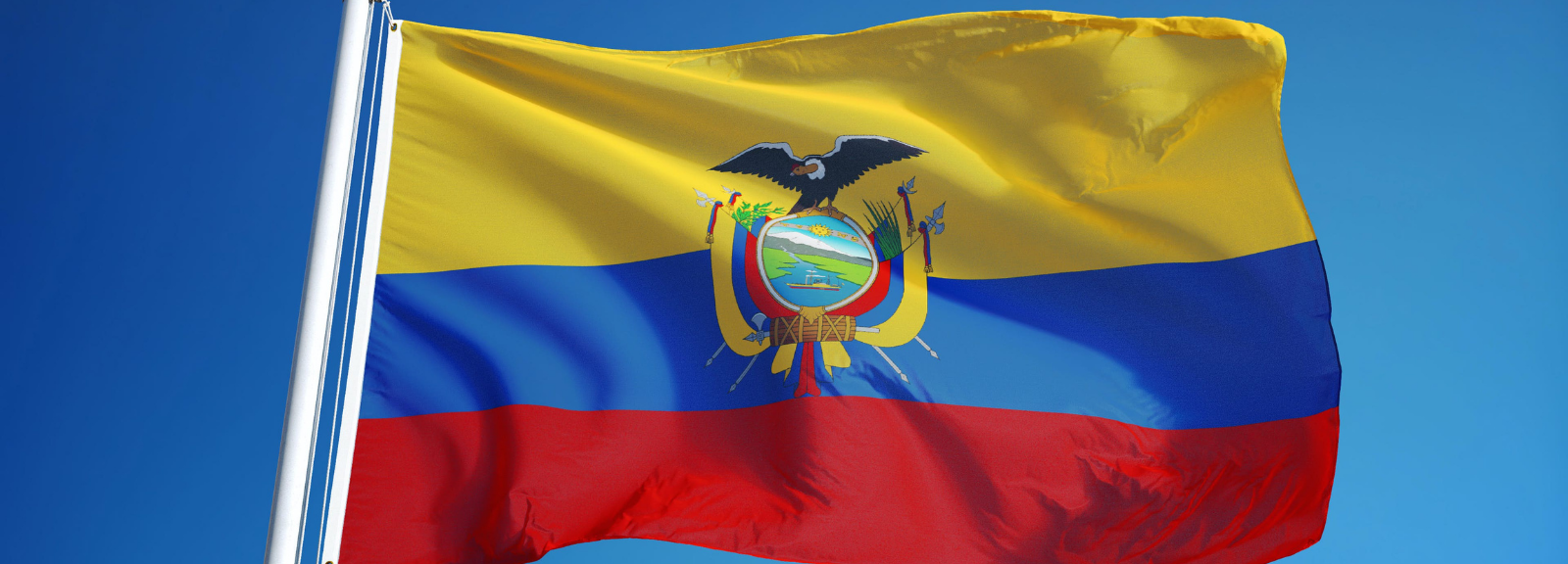 The Ecuadorian flag.