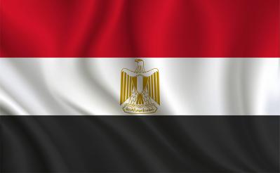 The Egyptian flag.