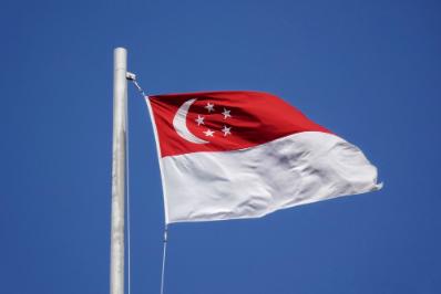 Singapore flag.