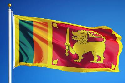 Sri Lankan flag on a pole.