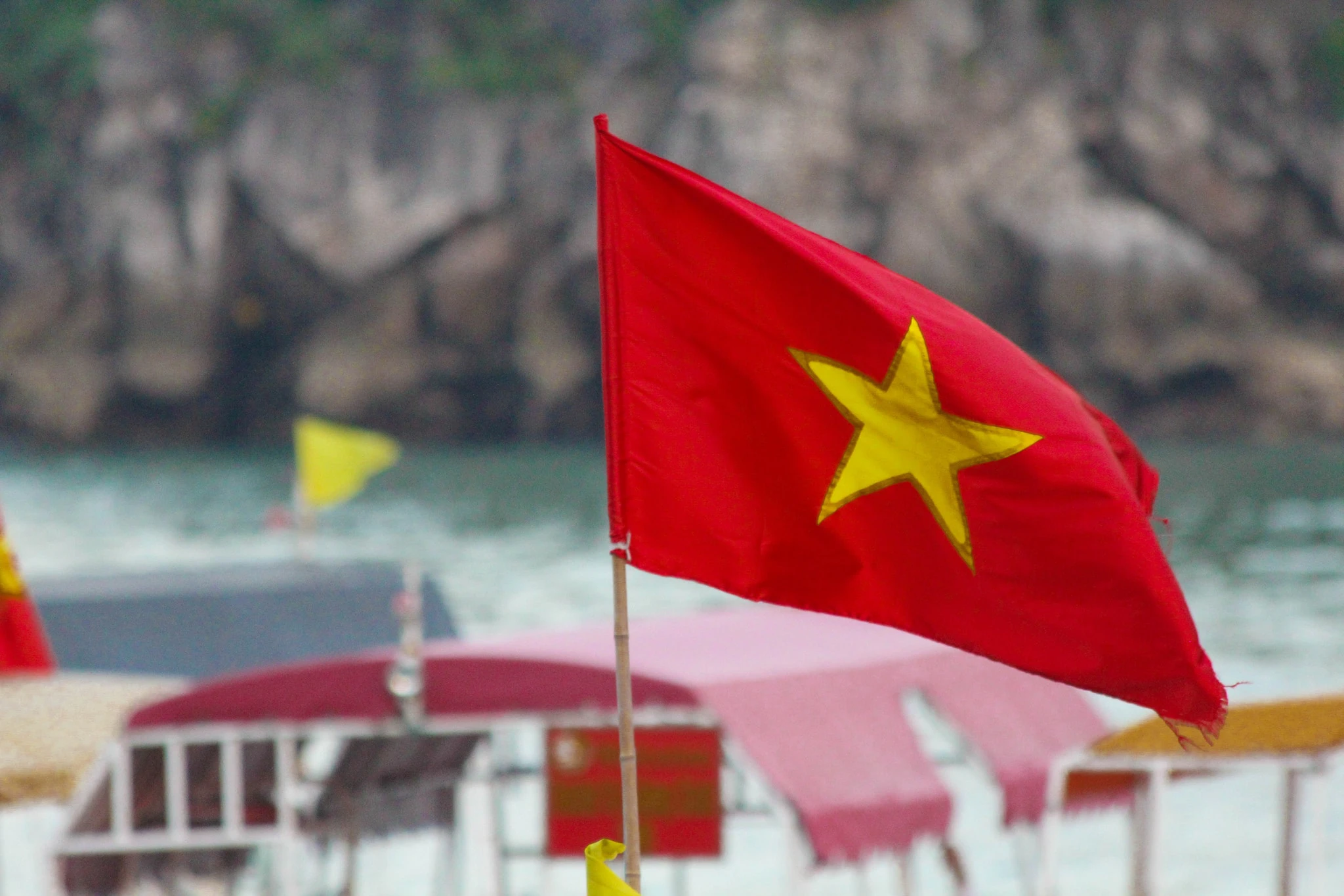 Vietnamese Flags