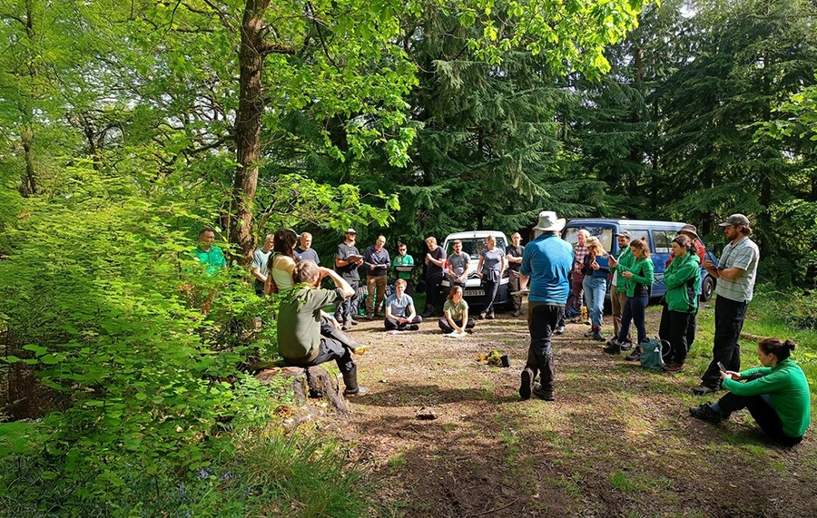 BSc (Hons) | Woodland Ecology and Conservation