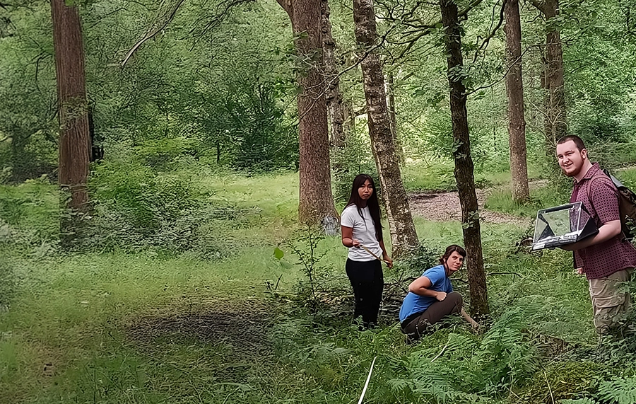 BSc (Hons) | Forest Management